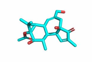 用opencv对医学图像分割有哪些方法