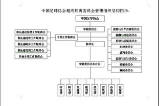 组织有什么分类方法有哪些内容