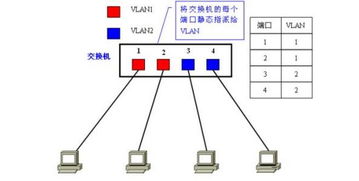 有哪些划分vlan的方法