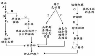 方式方法途径有哪些