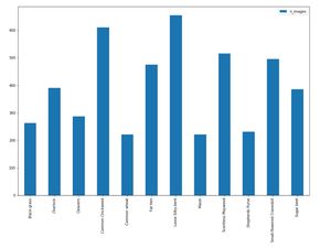 图像分类传统方法有哪些