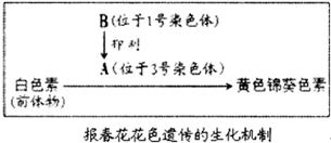 植物多倍体诱导采用哪些方法