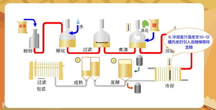 啤酒酿造中减少分子氮的方法有哪些