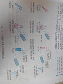 微生物裂解方法有哪些