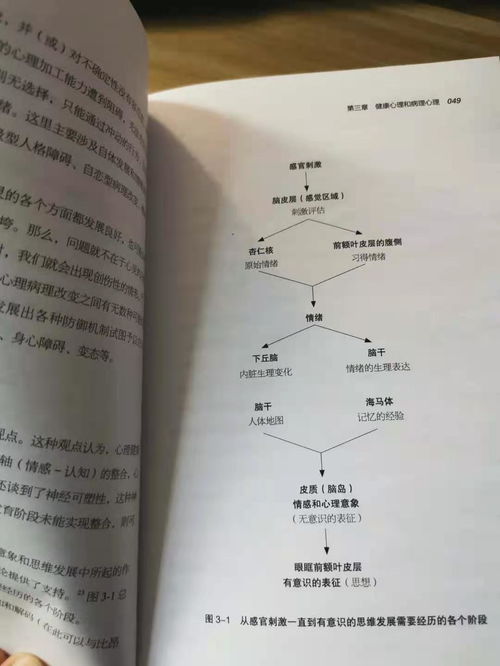 心理分析过程方法包括哪些