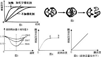 科学的分离方法有哪些特点