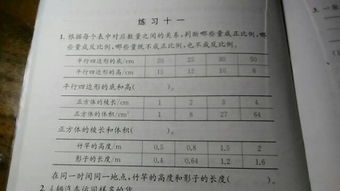 判断是否成比例有哪些方法