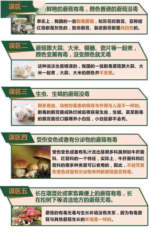 病毒分离与鉴定方法有哪些