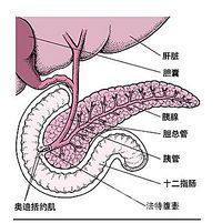 胰腺炎用哪些药治疗方法