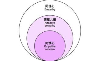 理论分析的方法有哪些特点是什么意思