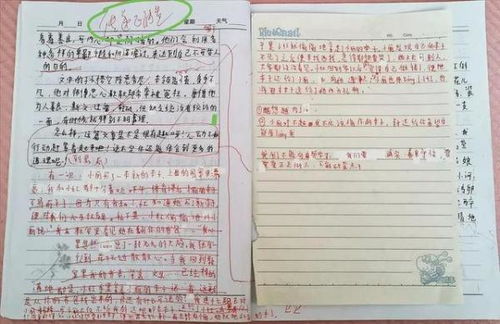 初中学生修改作文的方法有哪些