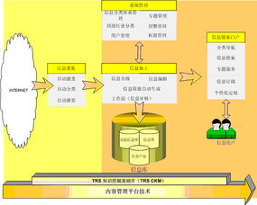 信息加工的研究方法有哪些方法有哪些