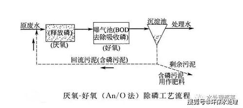 污水中除磷有哪些方法