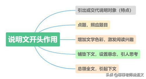 知识的宝库用了哪些说明方法