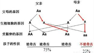 种质资源调查时常用的性状鉴定方法有哪些