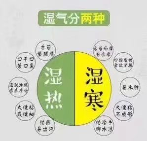 最好最快去湿气方法有哪些