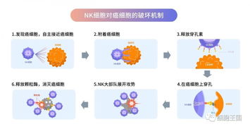 哪些方法可以打破免疫耐受