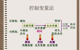 物理学中的实验方法有哪些