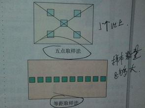 生物的调查方法有哪些内容