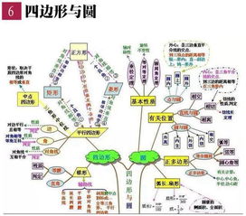 除了思维导图还有哪些学生总结方法