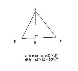 求三角形面积的方法有哪些