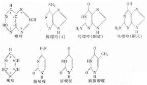 核酸含量的测定方法有哪些各有何优缺点