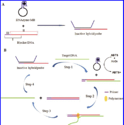 制备核酸探针的方法有哪些