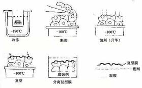 什么是组织研究方法有哪些