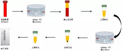 rna提取常用的方法有哪些