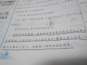 第一段中的描写方法有哪些内容是什么意思