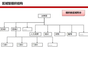 基本组织方法有哪些