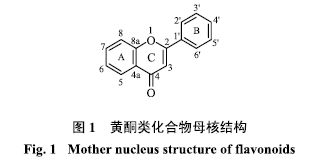 黄酮类化合物还有哪些提取方法