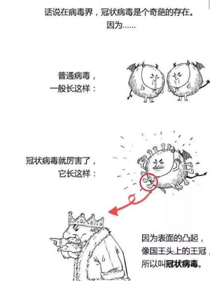 新型冠状病毒有哪些应对方法比较有效