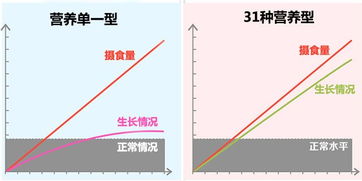 长高的科学物理方法有哪些