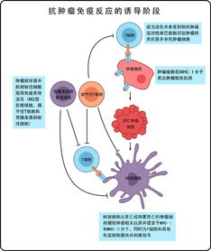 免疫的方法有哪些