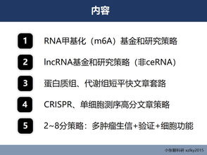 根据本讲科研方法包括哪些方面