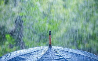 写大雨滂沱的古诗,描写大雨滂沱的古诗,大雨滂沱对应的下句