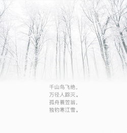 下雪的诗句古诗