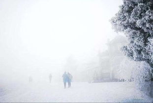 关于雪的诗句300首