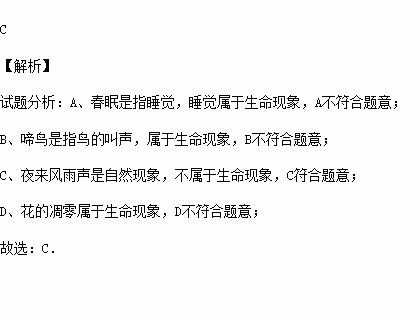 关于生命的诗句的4句诗