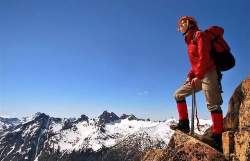 关于冬天登山的诗句