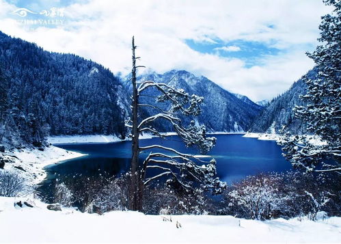 白雪皑皑,诗句,冬日