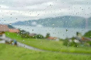 云风雨的诗句古诗爱情