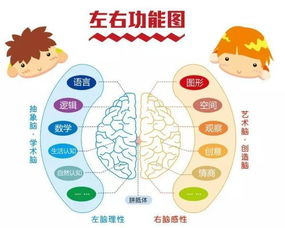 课外阅读重要性的古诗句