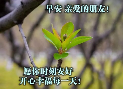 关于梦与祝福的诗句