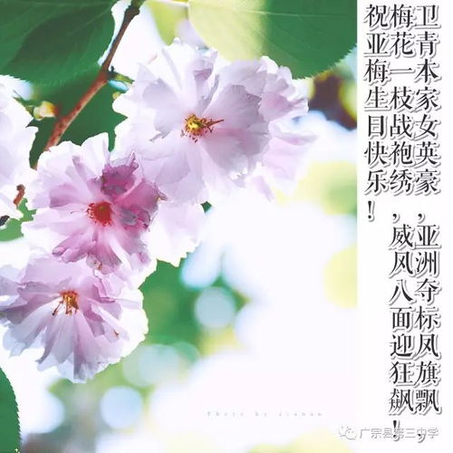 送给老师的祝福语古诗诗句元宵节,送给语文老师的古诗词,结婚祝福语古诗诗句