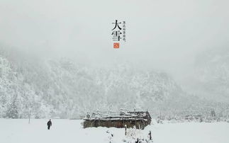 关于雪的诗句词语