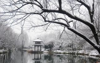 雪景的诗句古诗词