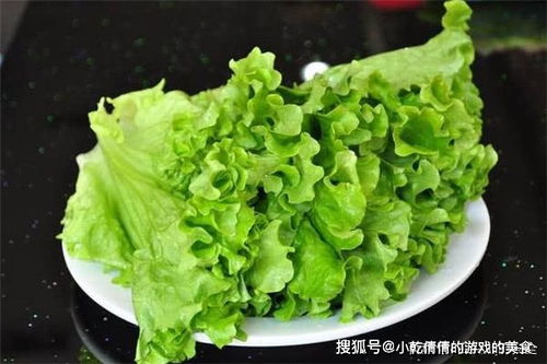 关于生菜的诗句