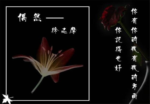 菜花,诗句,徐志,于海